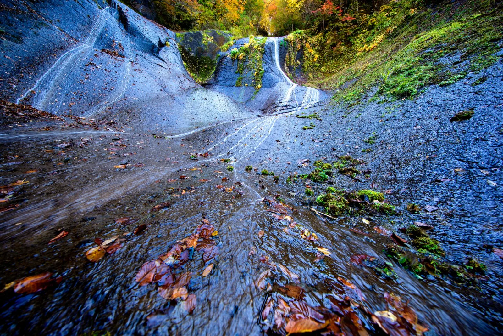Osaka in Autumn: A Waterfall Valley, Fried Maple Leaves, and a Late-November Peak