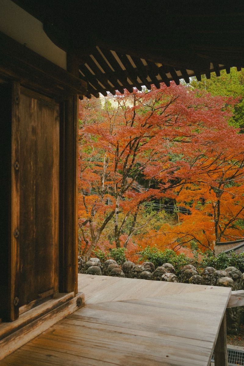 Traditional Japanese engawa veranda with polished wood floor opening to a lush garden, rain falling beyond the eave.