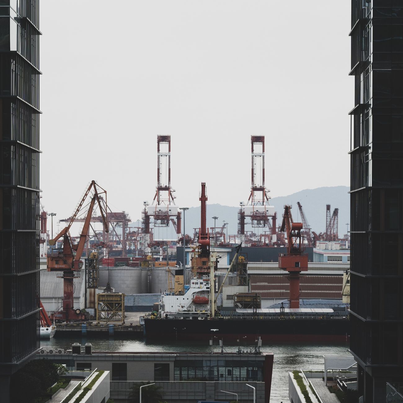 How a Single Ship Changed Japan's Entire Trade Policy