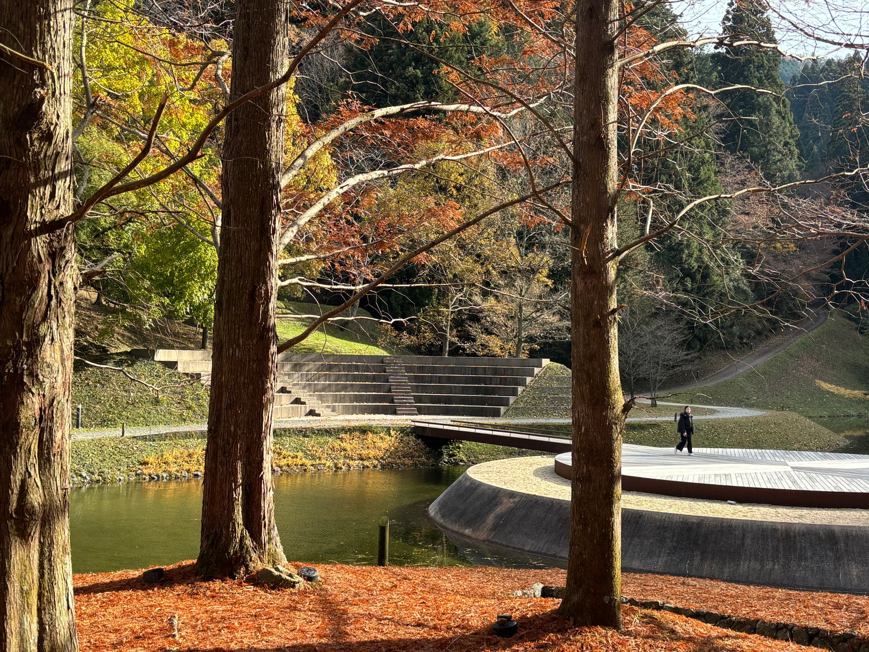 Vibrant red and orange Japanese maple leaves glowing in soft autumn sunlight against a temple backdrop in Kyoto