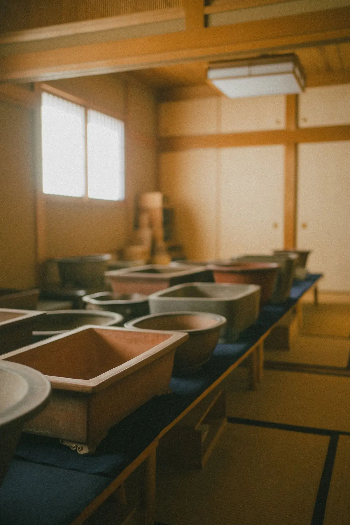 A long climbing kiln built into a forested hillside in Ōkawachi village, surrounded by traditional potter workshops and homes.