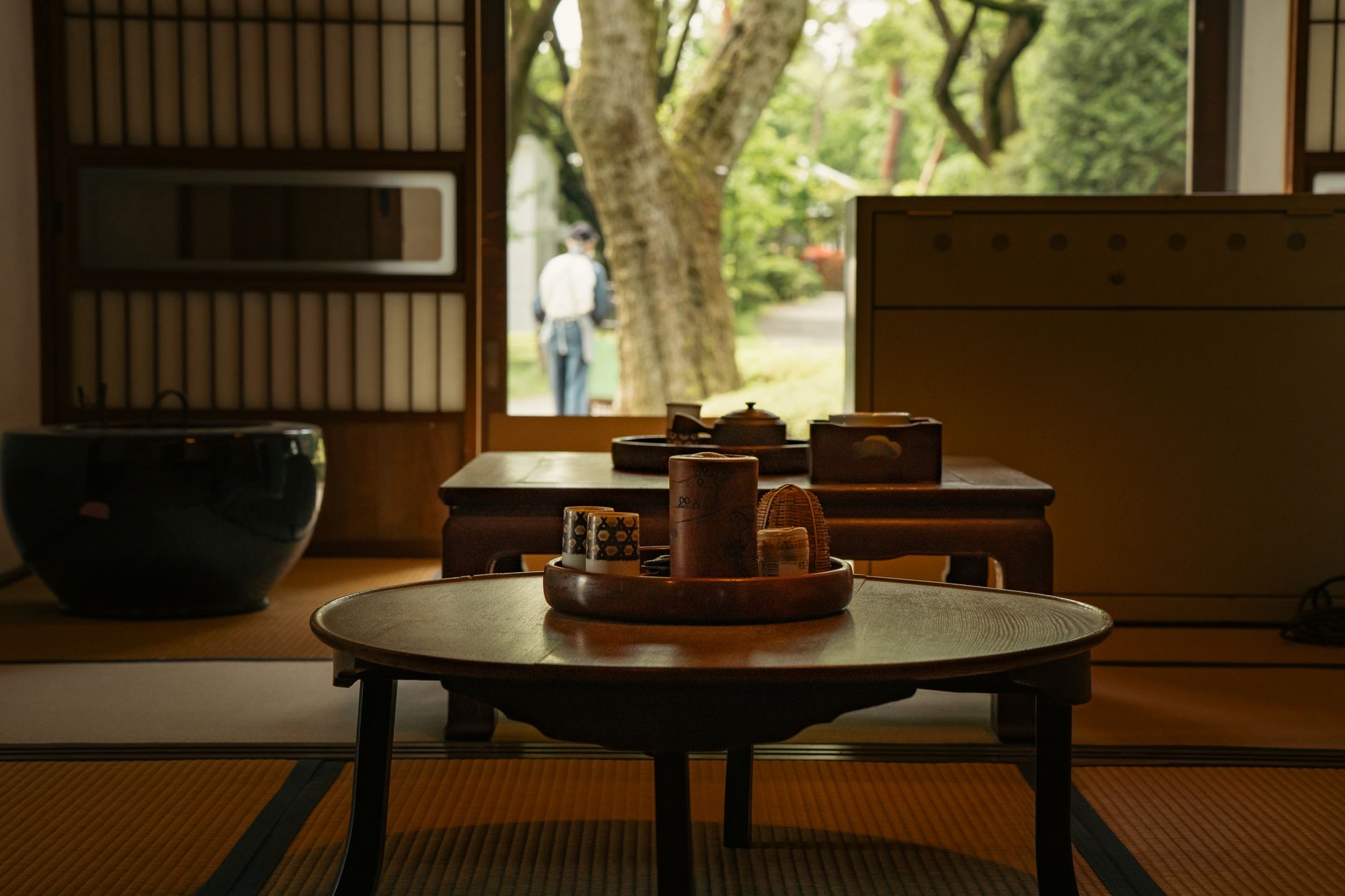 Fresh green tea leaves being hand-picked from a misty tea field in early spring morning light in Japan.