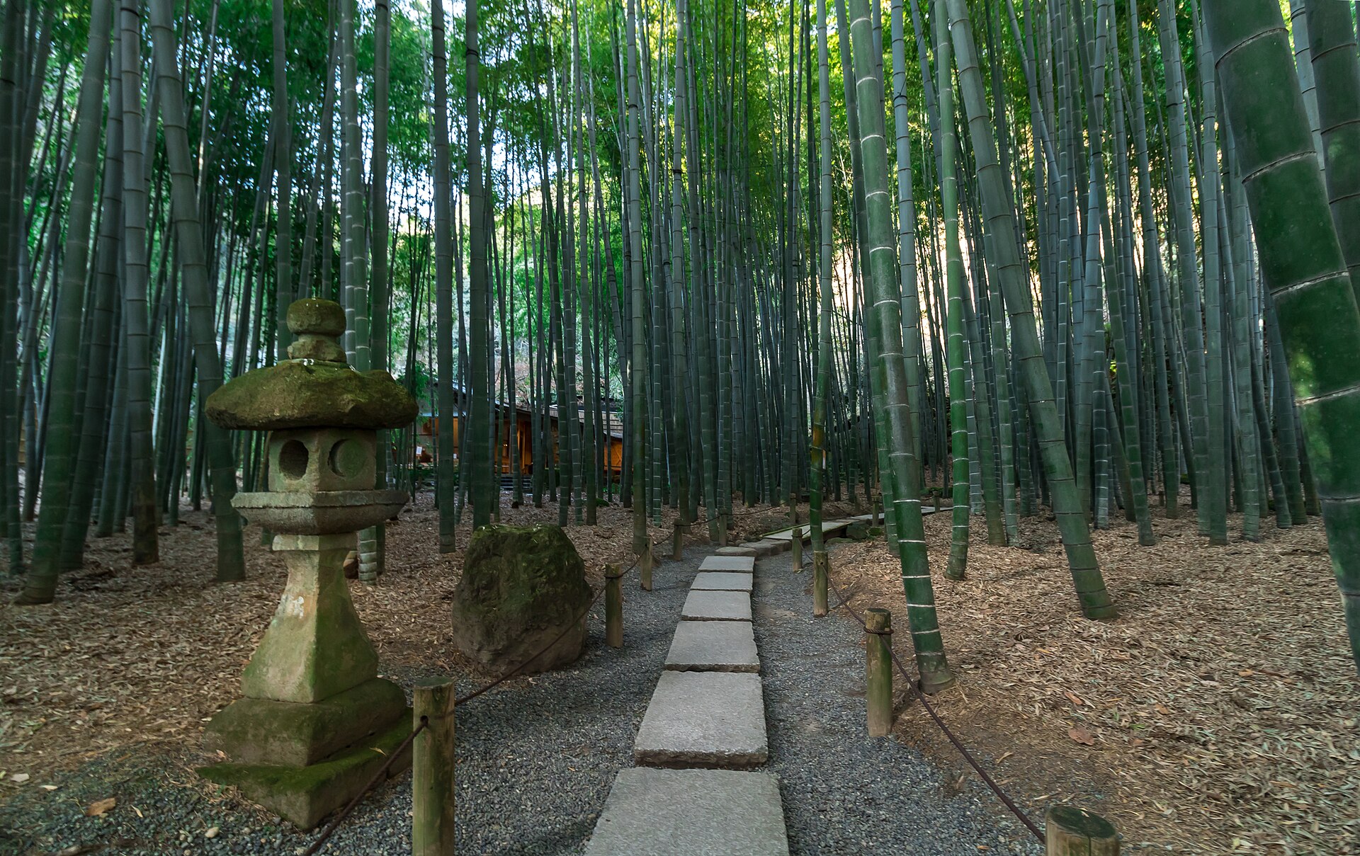 Hōkoku-ji (Bamboo Temple)