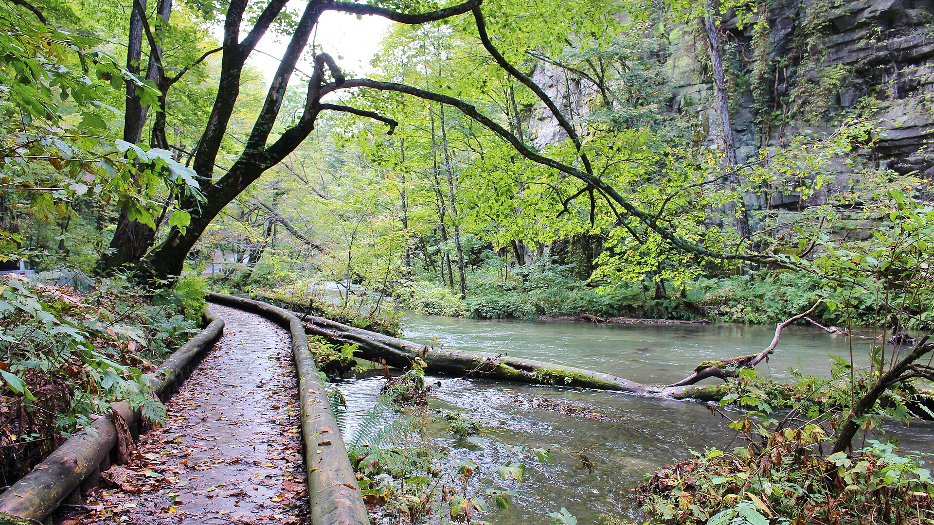 Oirase Gorge