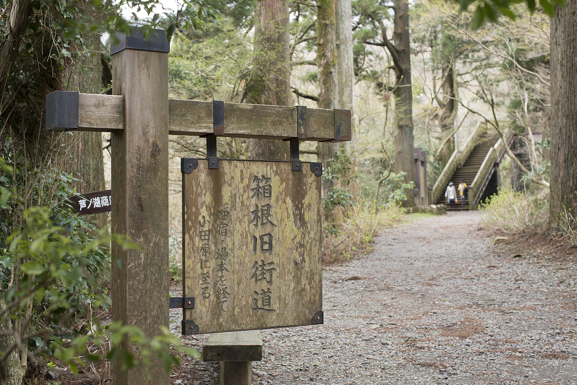 Old Tōkaidō Cedar Avenue