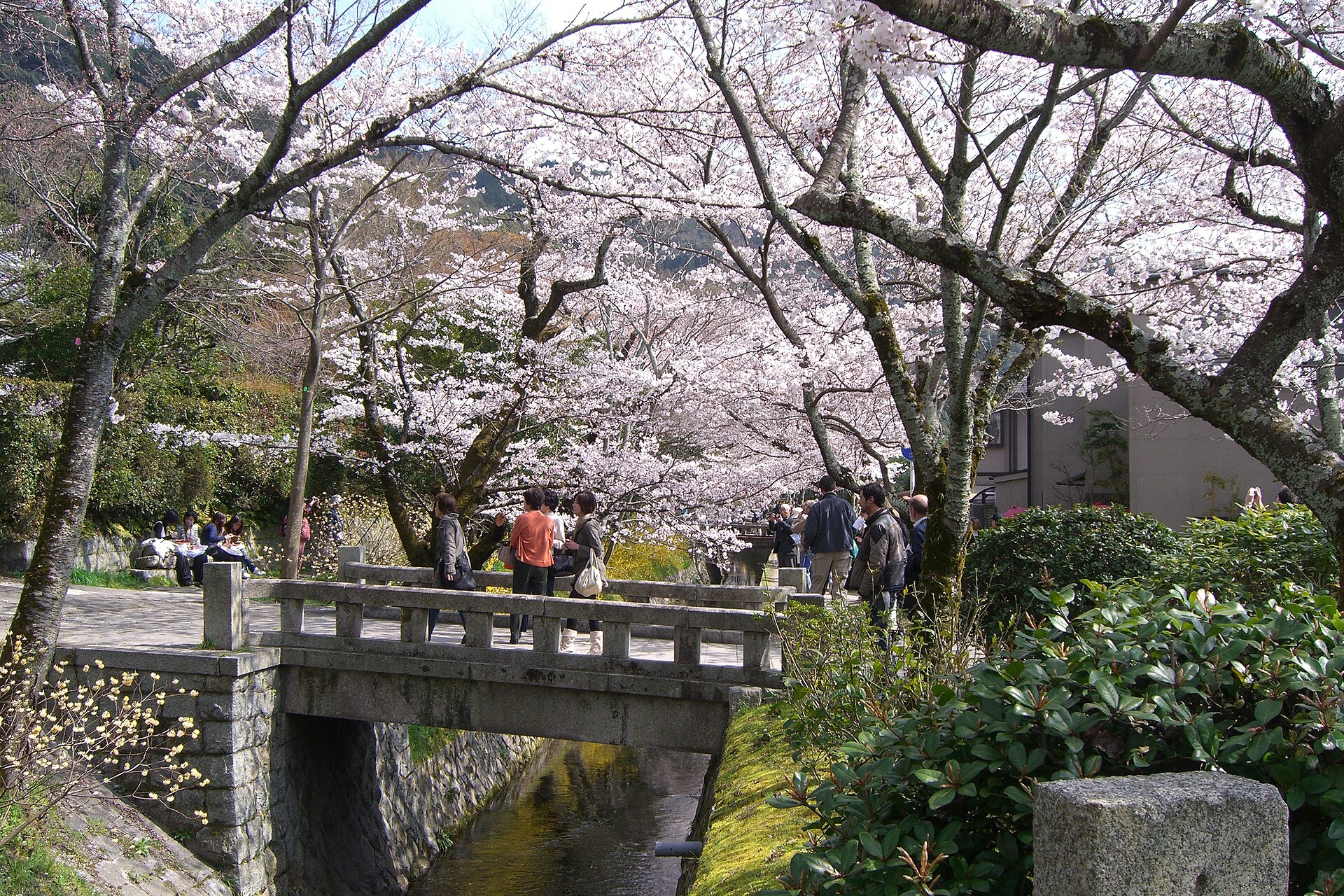 The Philosopher's Path